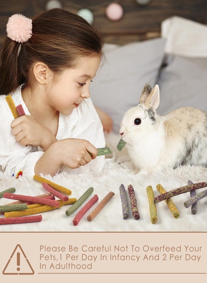 Bissap 72 PCS Rabbit Chew Sticks, Natural Timothy Hay Pumpkin Sugar Beet Carrot Strawberry Rose Dahlberg Daisy Forget-me-not Flower Treat for Bunny Chinchilla Guinea Pig Hamster Small Pet Molar Snack - Image 4